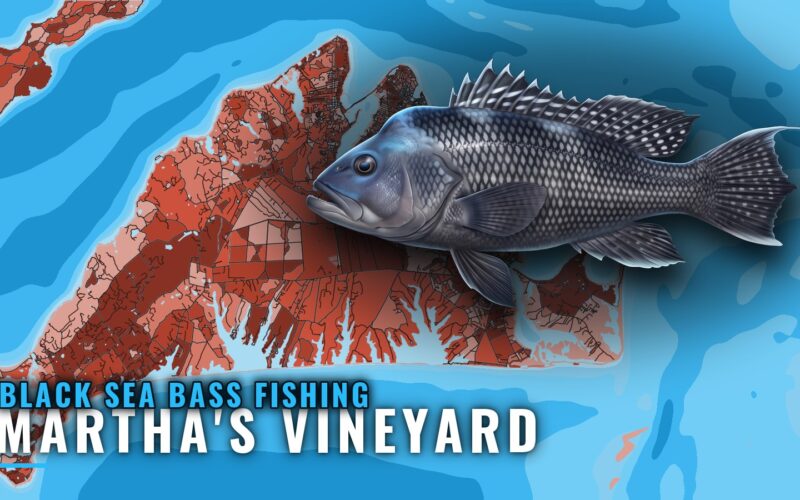 Black Sea Bass Fishing out of Martha’s Vineyard: Grounds