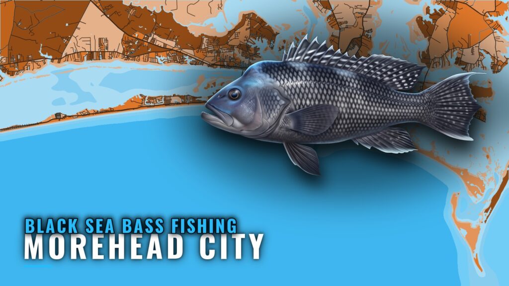 Black sea bass fishing out of Morehead City: reefs and runs