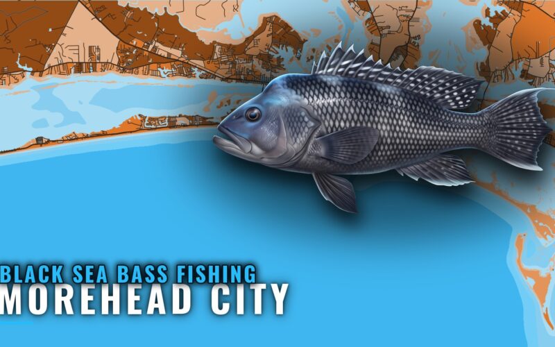Black sea bass fishing out of Morehead City: reefs and runs