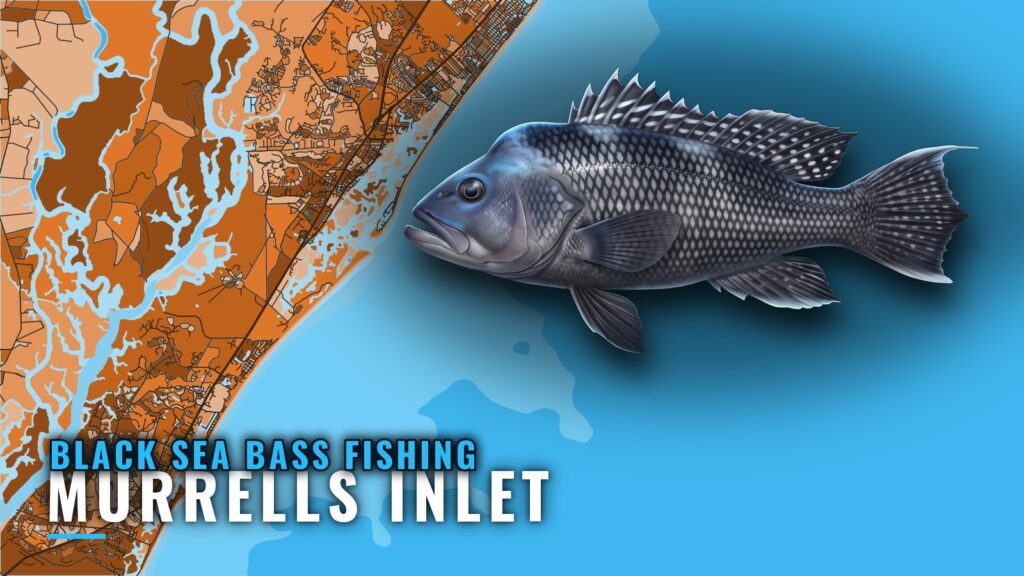 Black Sea Bass Fishing Out of Murrells Inlet: Reefs & Runs