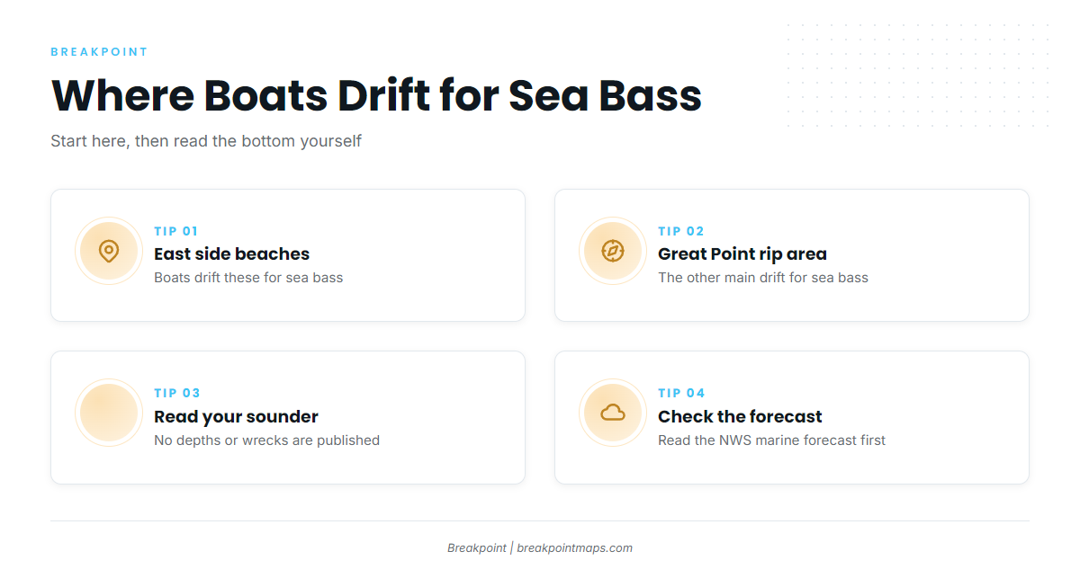 Where boats run for sea bass
