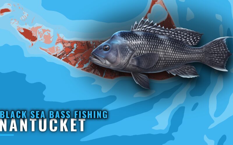 Black Sea Bass Fishing Out of Nantucket: Where Boats Drift