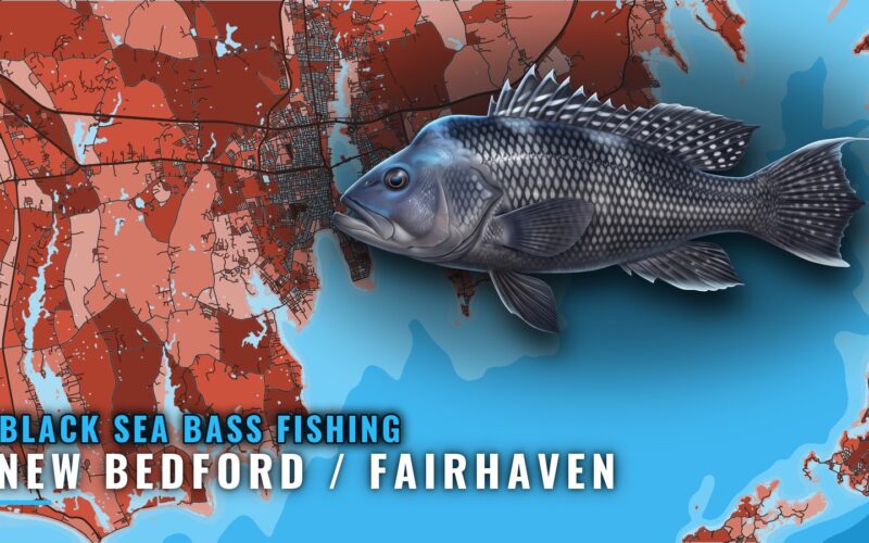 Black Sea Bass Fishing Out of New Bedford / Fairhaven