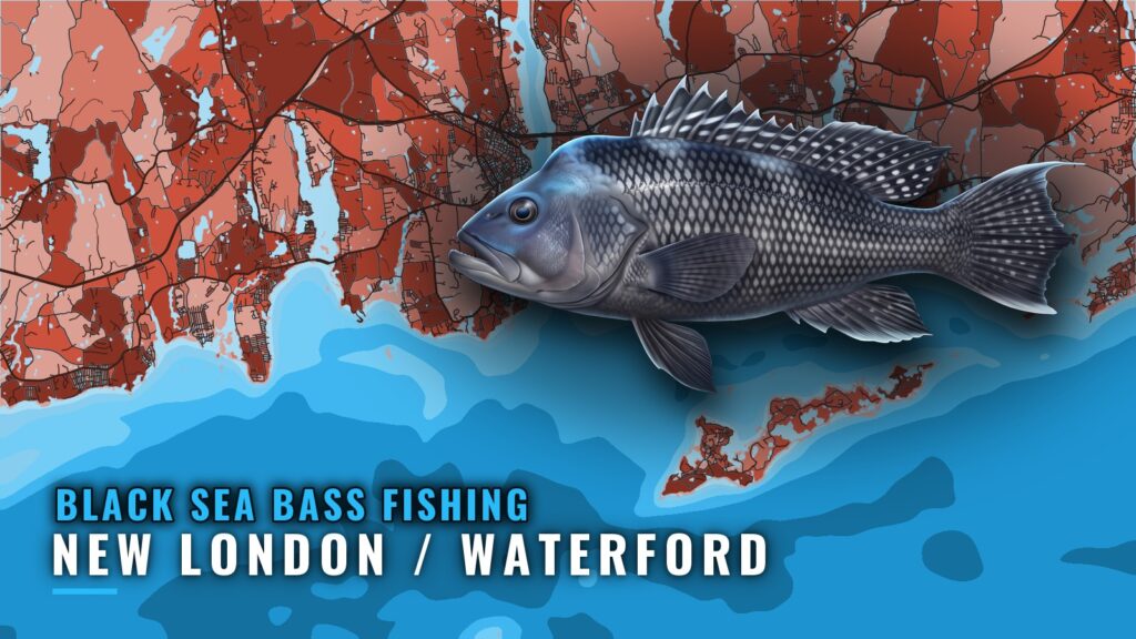 Black sea bass fishing out of New London / Waterford