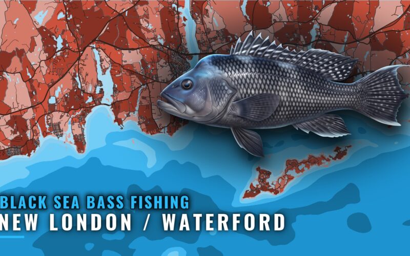 Black sea bass fishing out of New London / Waterford