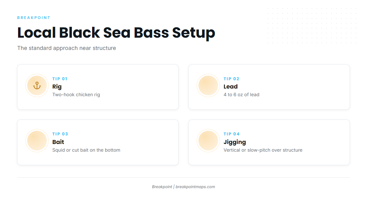 How black sea bass are fished here