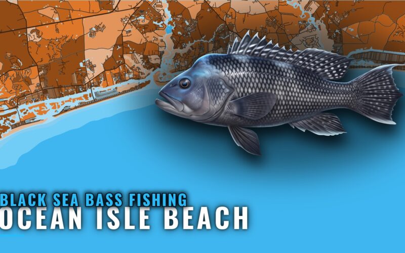Black Sea Bass Fishing Out of Ocean Isle Beach: Reefs, Rigs