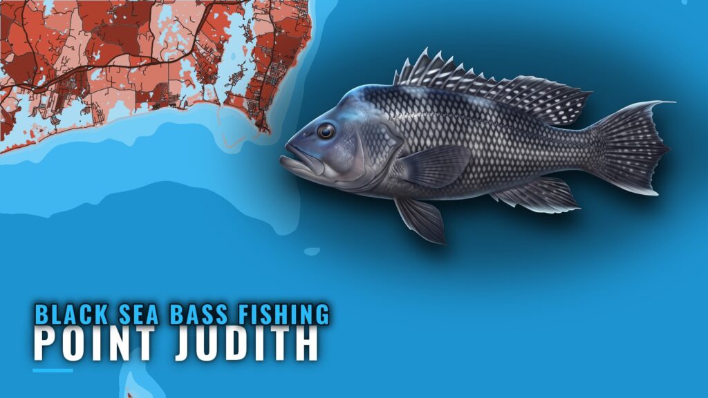 Black Sea Bass Fishing Out of Point Judith: Grounds & Jigs