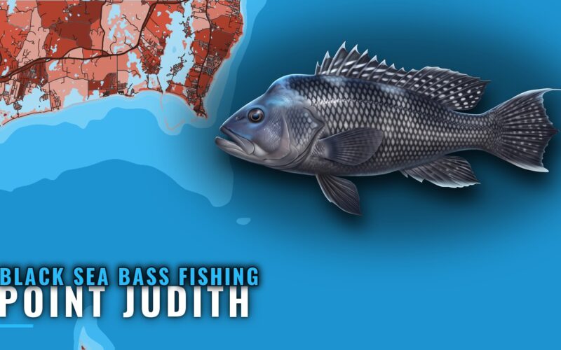 Black Sea Bass Fishing Out of Point Judith: Grounds & Jigs
