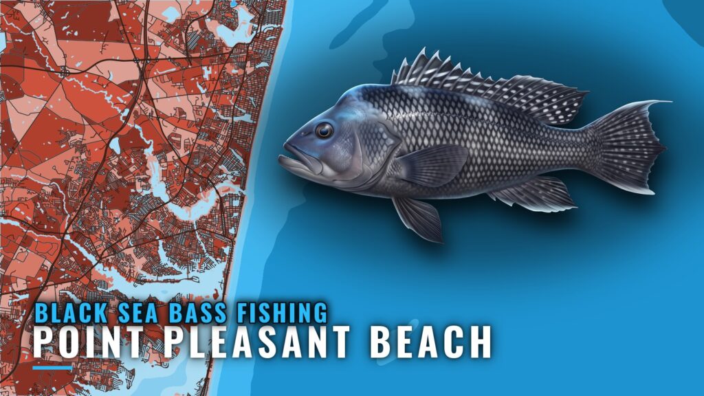 Black Sea Bass Fishing Out of Point Pleasant Beach