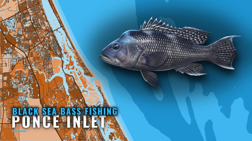 Black sea bass fishing out of Ponce Inlet: reefs and runs