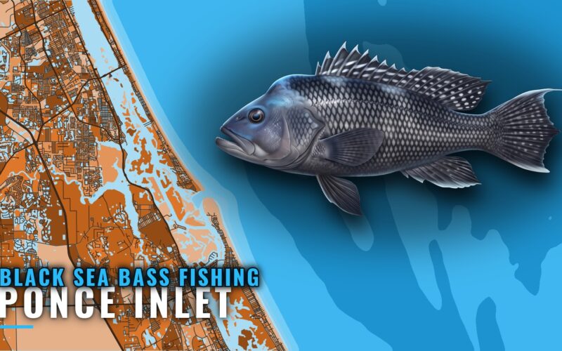 Black sea bass fishing out of Ponce Inlet: reefs and runs