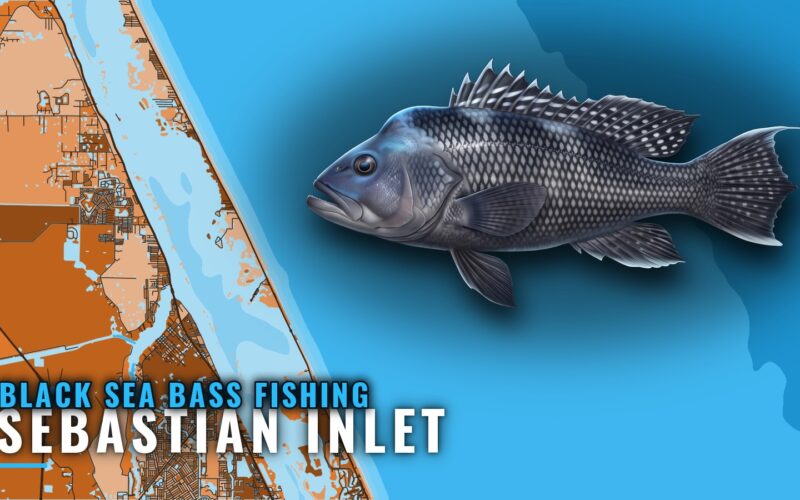 Black Sea Bass Fishing out of Sebastian Inlet: Reef Guide