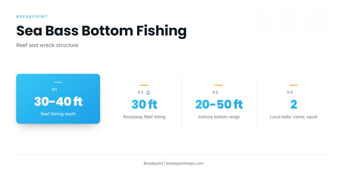 How sea bass are fished here