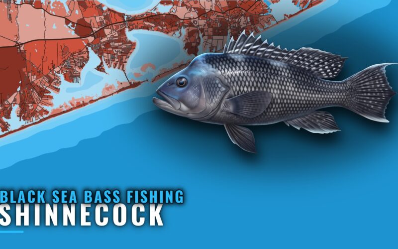 Black Sea Bass Fishing Out of Shinnecock: Reefs and Runs
