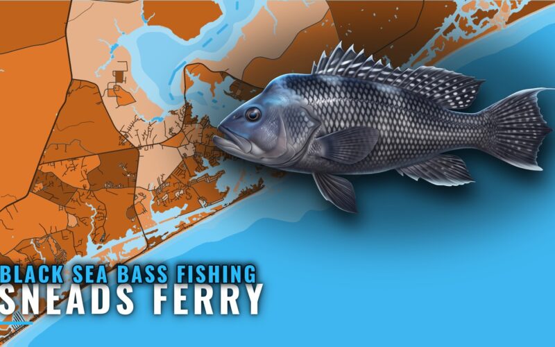 Black sea bass fishing out of Sneads Ferry: where and how