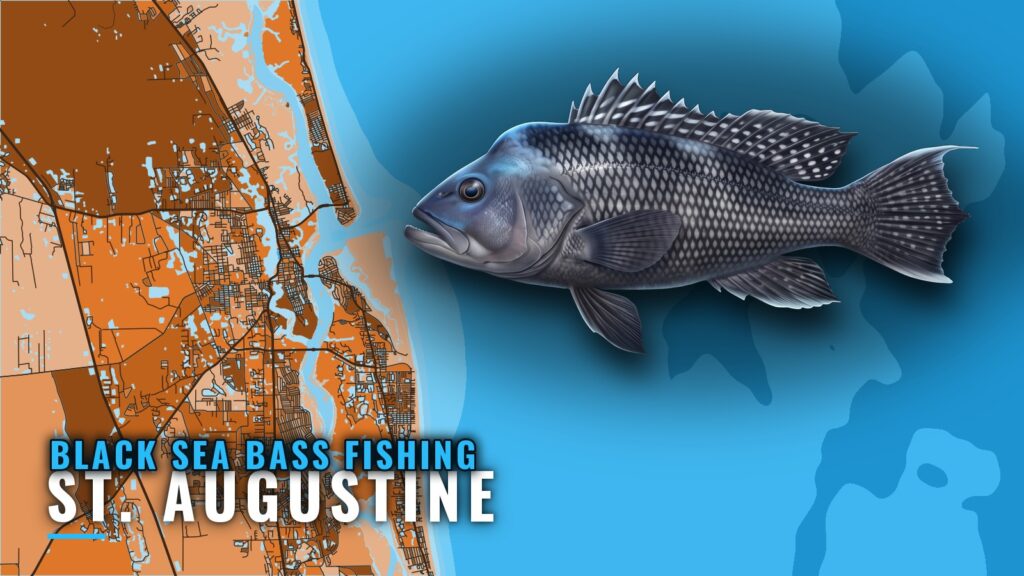 Black sea bass fishing out of St. Augustine: reefs, depths