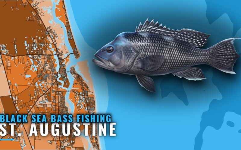 Black sea bass fishing out of St. Augustine: reefs, depths