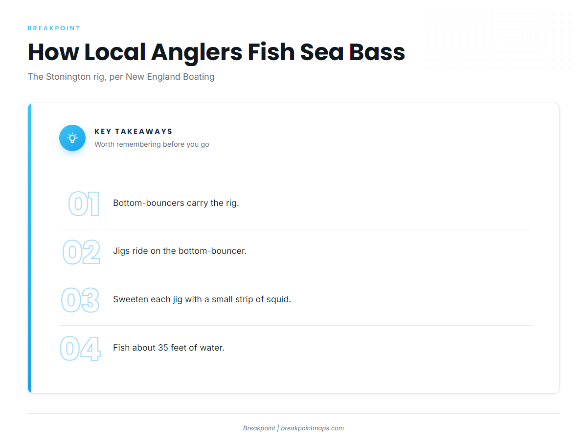 How sea bass are fished here