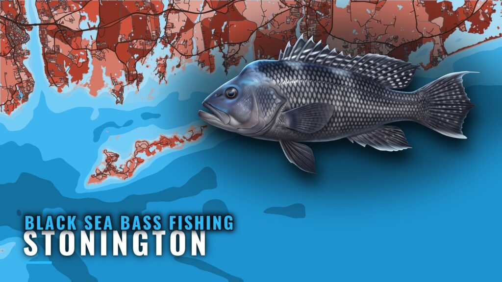 Black sea bass fishing out of Stonington: reefs and rigs
