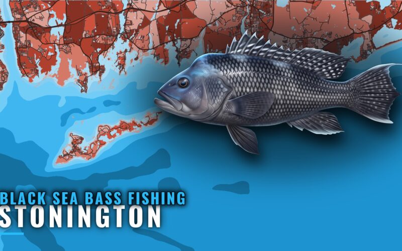 Black sea bass fishing out of Stonington: reefs and rigs