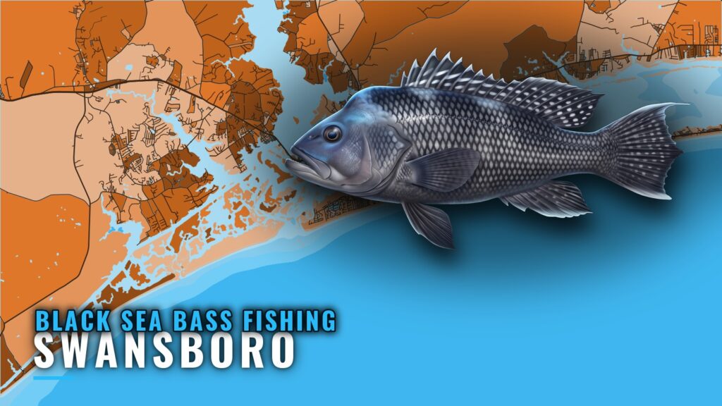 Black Sea Bass Fishing Out of Swansboro: Rocks and Reefs