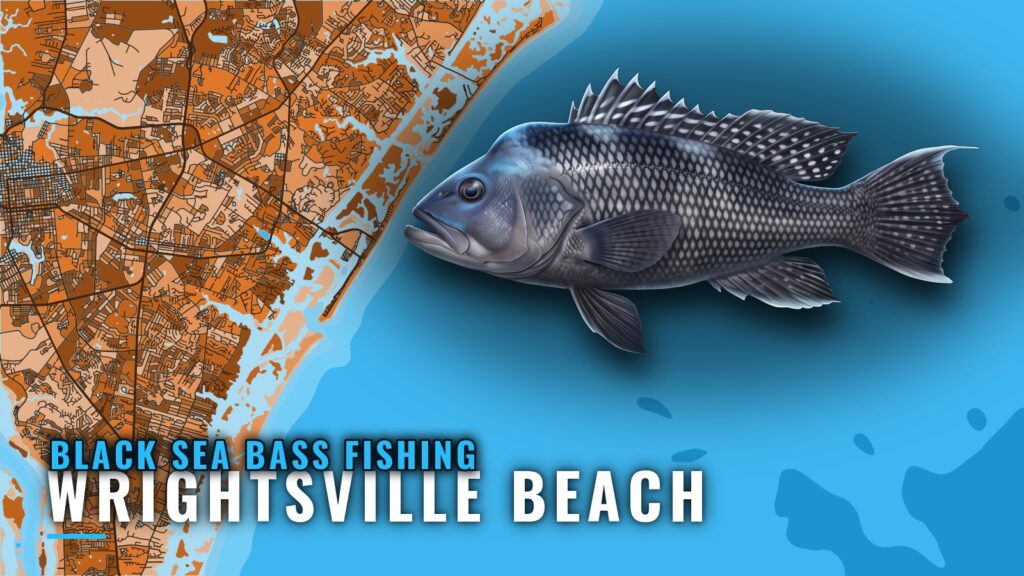 Black Sea Bass Fishing out of Wrightsville Beach: Reefs