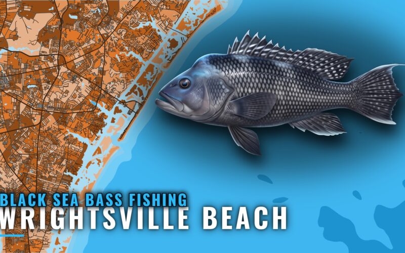 Black Sea Bass Fishing out of Wrightsville Beach: Reefs