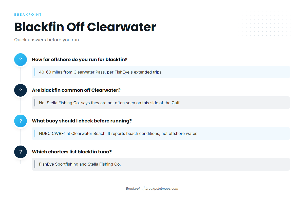 FAQ about blackfin tuna fishing out of Clearwater