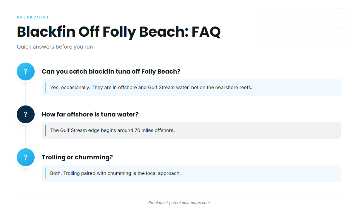 FAQ: blackfin tuna fishing out of Folly Beach