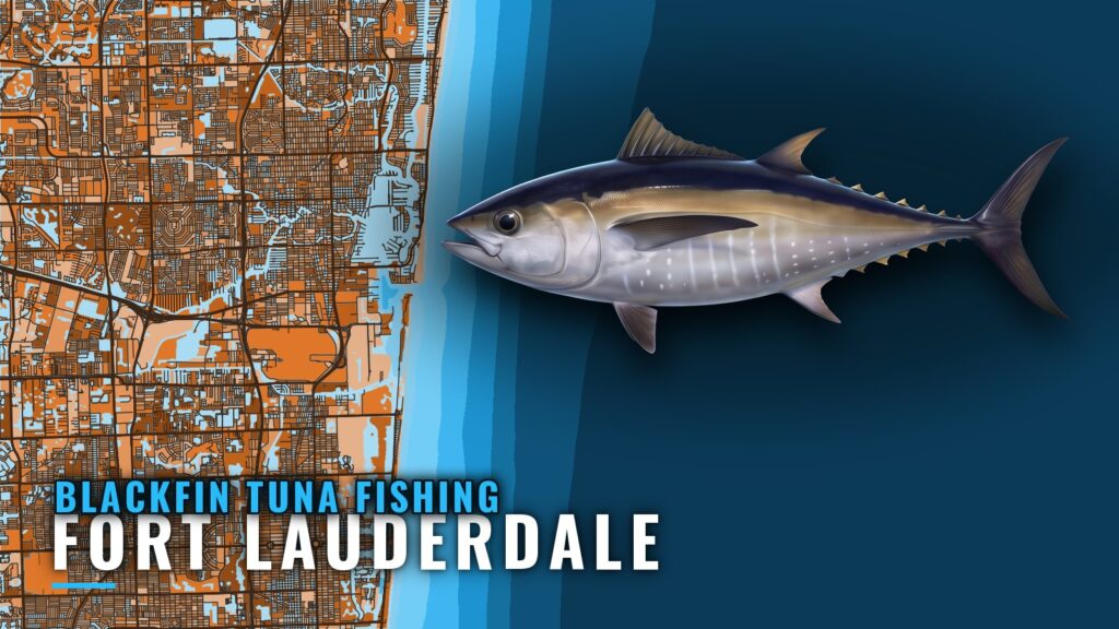 Blackfin Tuna Fishing Out of Fort Lauderdale: The Grounds