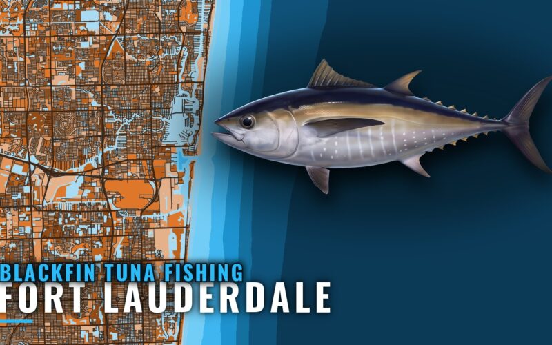 Blackfin Tuna Fishing Out of Fort Lauderdale: The Grounds