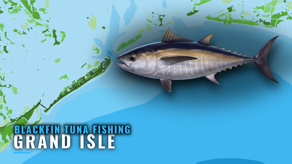 Blackfin Tuna Fishing Out of Grand Isle: Grounds and GISL1