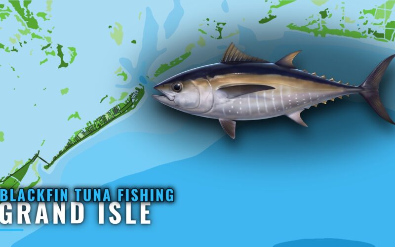 Blackfin Tuna Fishing Out of Grand Isle: Grounds and GISL1