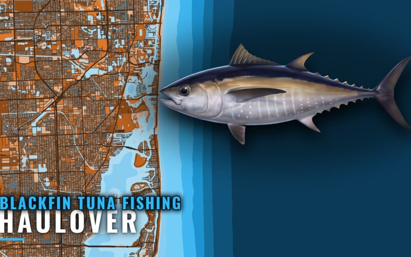 Blackfin Tuna Fishing Out of Haulover: Runs, Reefs, Boats