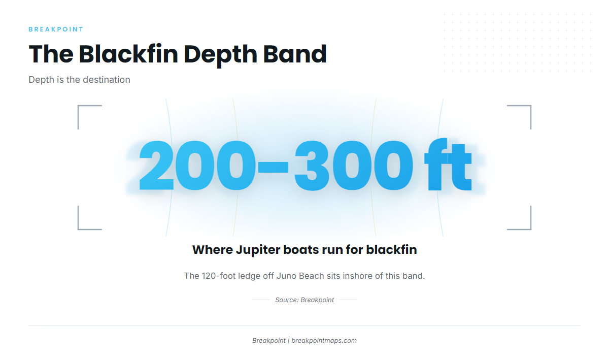 Where boats run: the 200-300 ft band