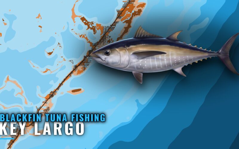 Blackfin Tuna Fishing Out of Key Largo: Wrecks and Depths