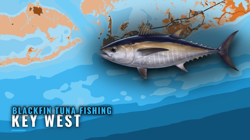 Blackfin Tuna Fishing Out of Key West: Runs and Grounds