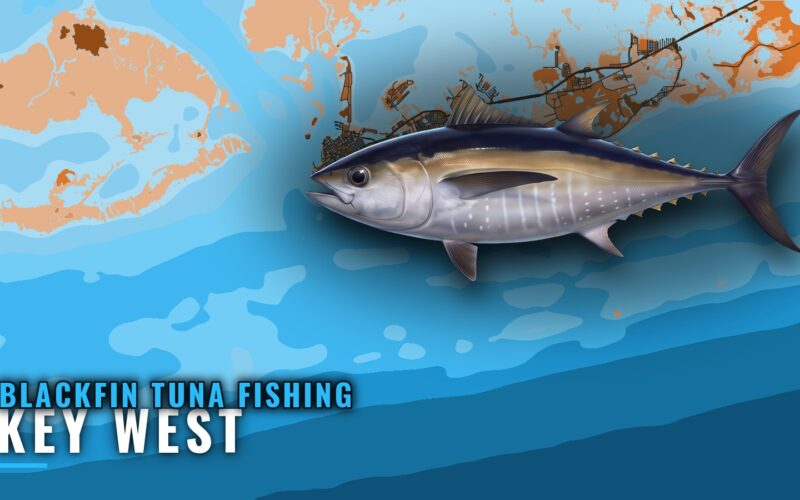 Blackfin Tuna Fishing Out of Key West: Runs and Grounds