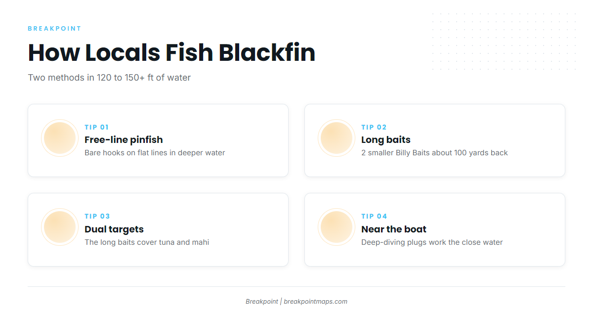 How blackfin are fished locally