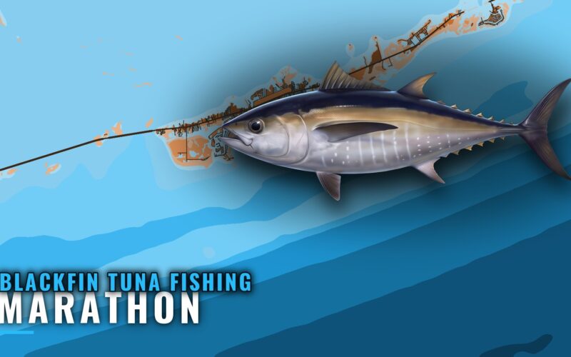 Blackfin Tuna Fishing Out of Marathon: Grounds and Methods