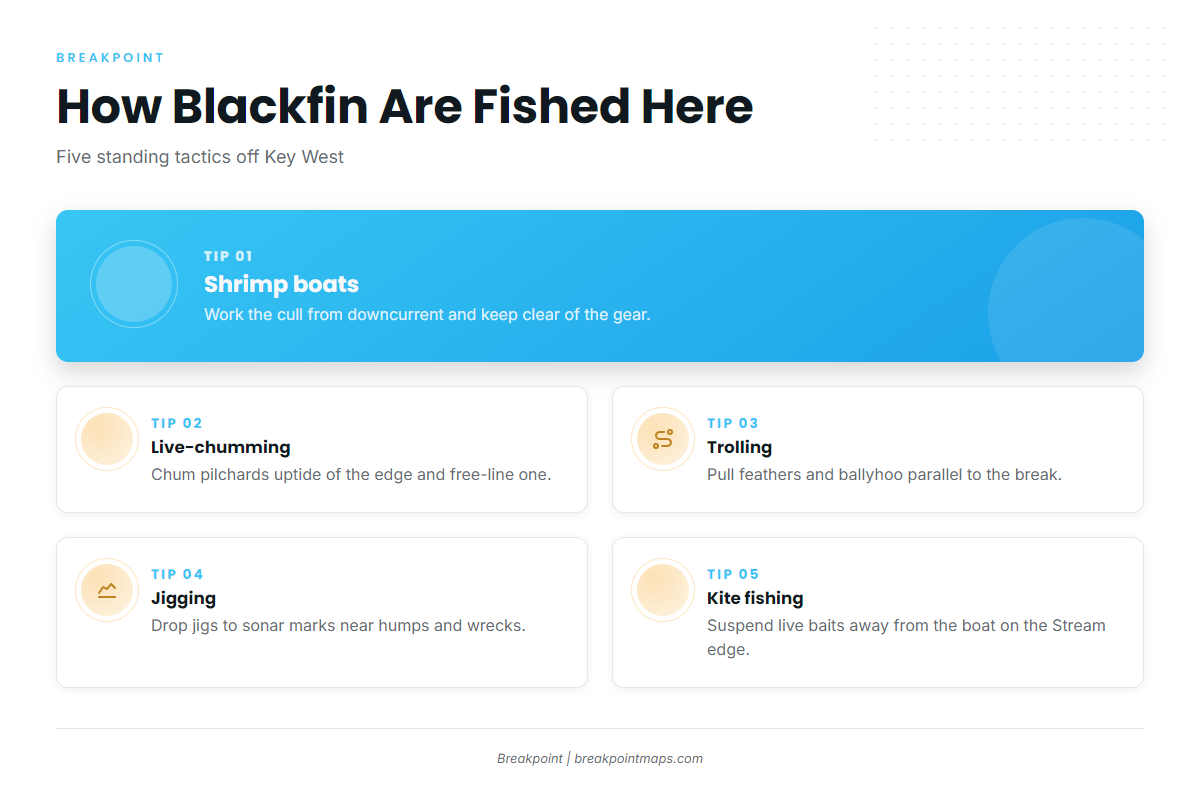 How blackfin are fished here