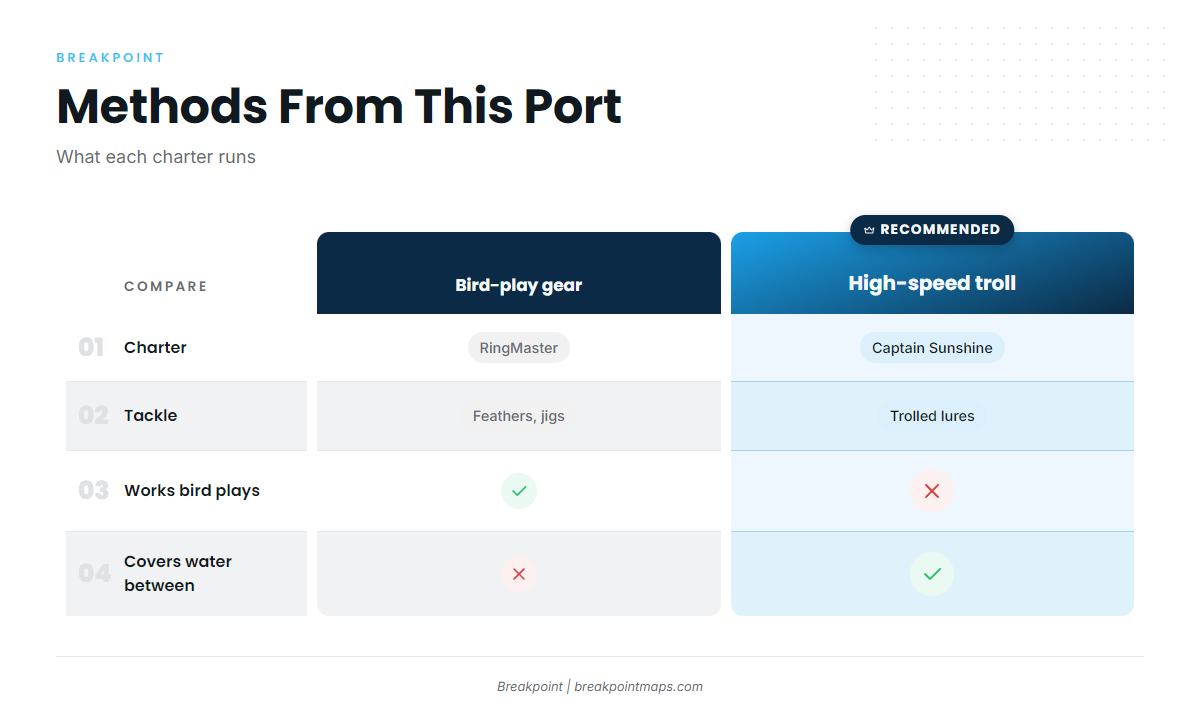 How blackfin are fished from this port