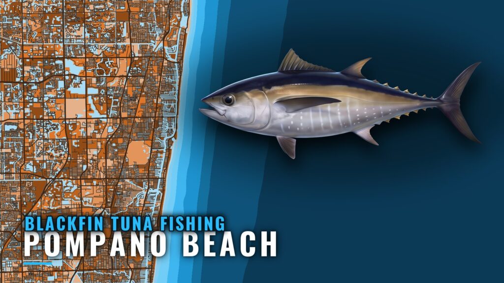 Blackfin Tuna Fishing Out of Pompano Beach: Where Boats Run
