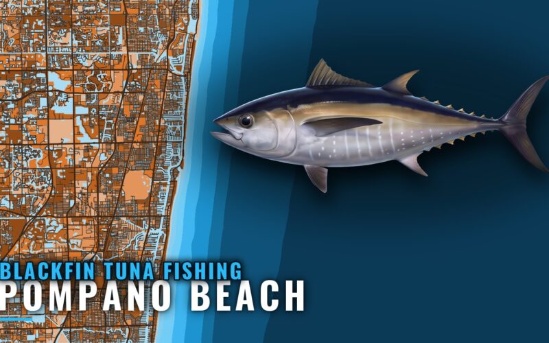 Blackfin Tuna Fishing Out of Pompano Beach: Where Boats Run