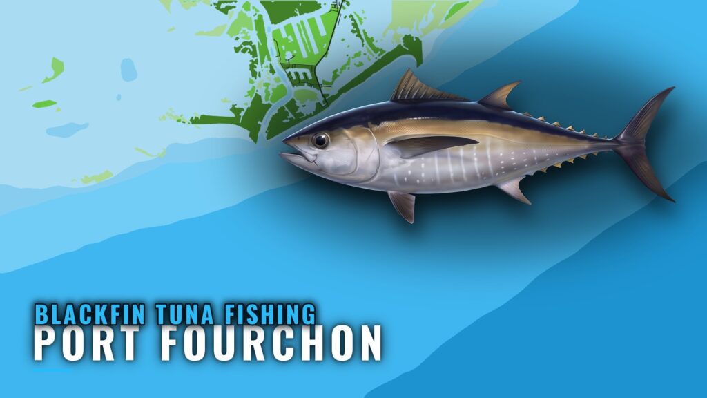 Blackfin Tuna Fishing Out of Port Fourchon: Where Boats Run