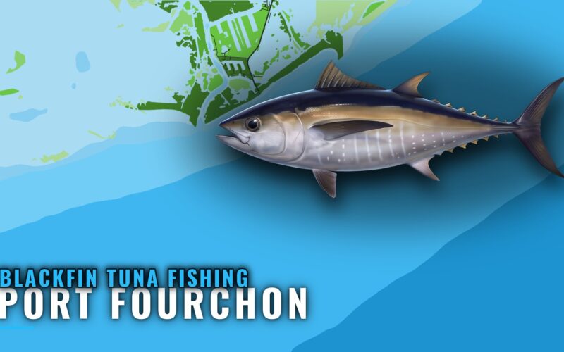 Blackfin Tuna Fishing Out of Port Fourchon: Where Boats Run