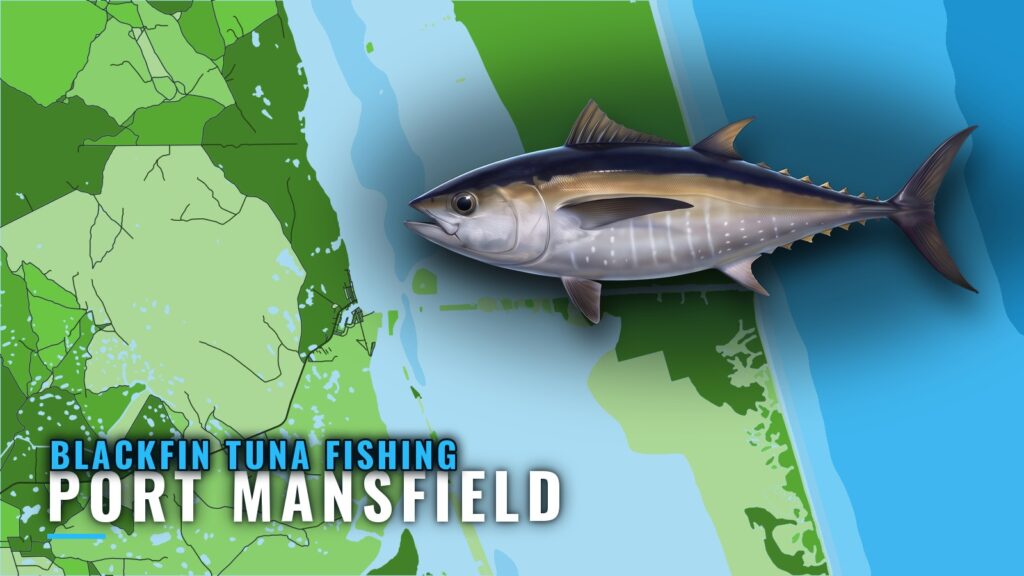 Blackfin Tuna Fishing Out of Port Mansfield: Run Planner