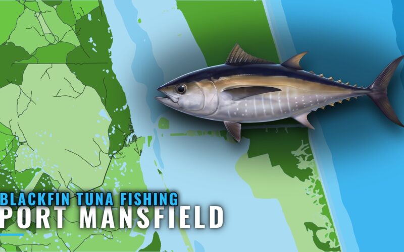 Blackfin Tuna Fishing Out of Port Mansfield: Run Planner