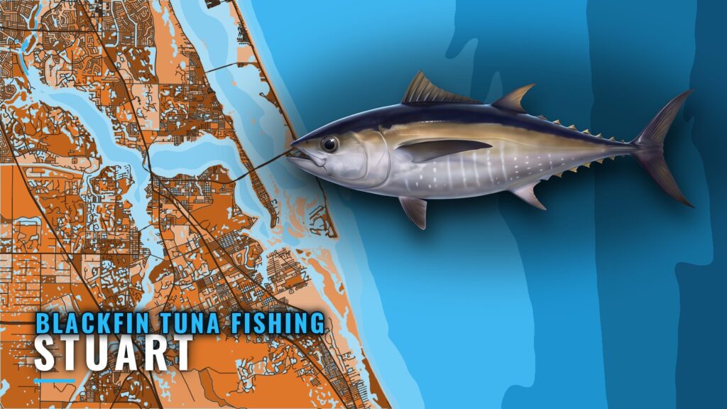Blackfin Tuna Fishing Out of Stuart: The Hill and Beyond